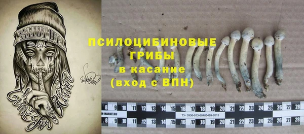 стафф Куйбышев