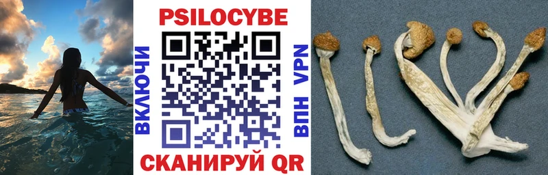 Галлюциногенные грибы мухоморы  Волжский 