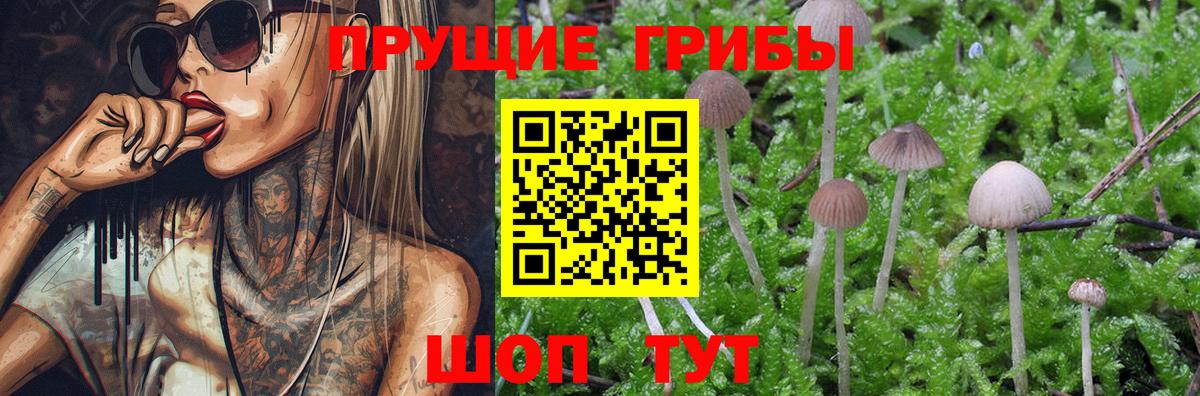 Галлюциногенные грибы мухоморы Волжский
