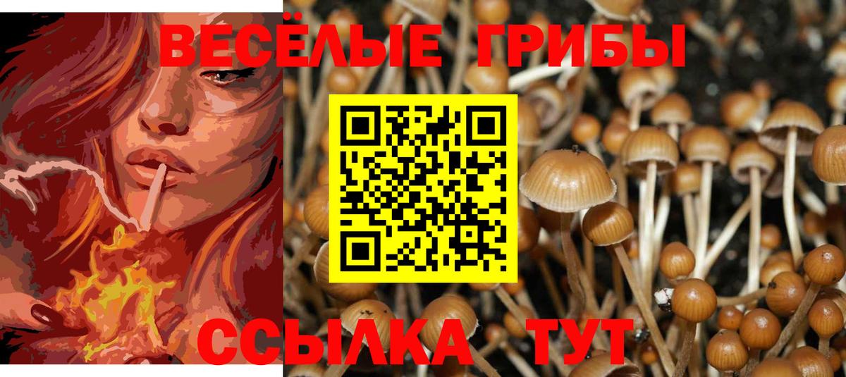 Галлюциногенные грибы Magic Shrooms Волжский