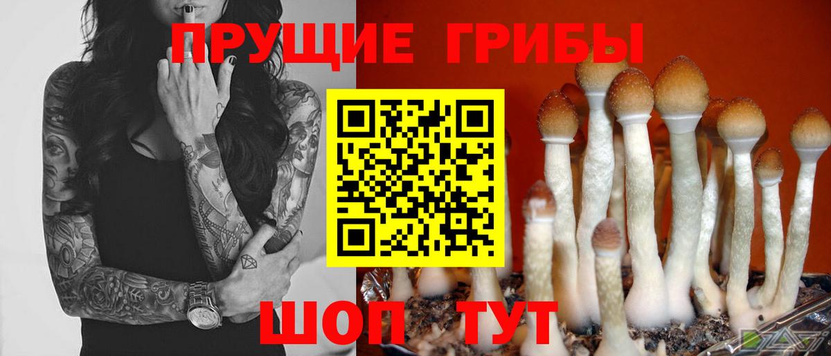 Галлюциногенные грибы Cubensis  Вход с VPN  Псилоцибиновые грибы Psilocybe  Волжский 